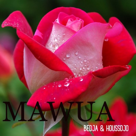 Mawua ft. HOUSSDJO cover art