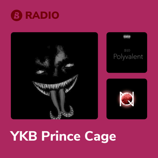 YKB Prince Cage Radio