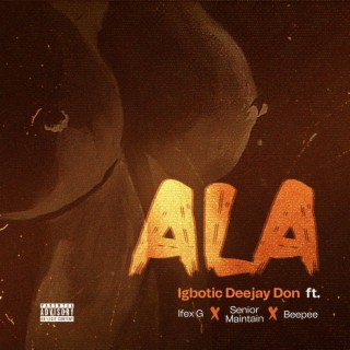 IGBOTIC Deejay Don