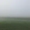 had it, almost