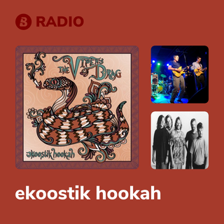 ekoostik hookah Radio