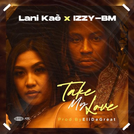 Take My Love ft. LANI KAÈ cover art