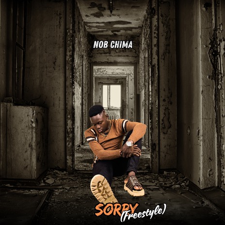 Sorry (Freestyle) cover art