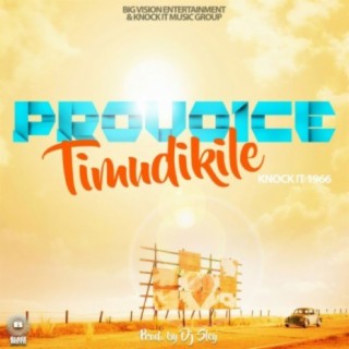 ProVoice