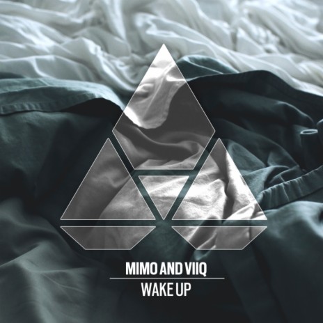 Wake Up (Original Mix) ft. Viiq cover art