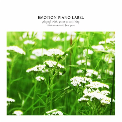 Flowers bloom again cover art