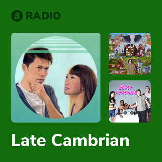 Late Cambrian Radio