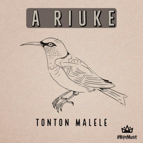 A Riuke cover art