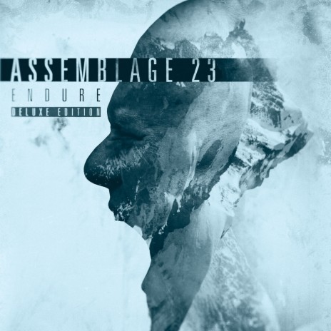 Ignorance (Mr. Kitty Remix) cover art