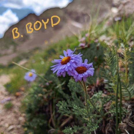 Sympathy for a JPEG cover art