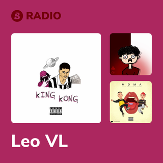 Leo VL Radio