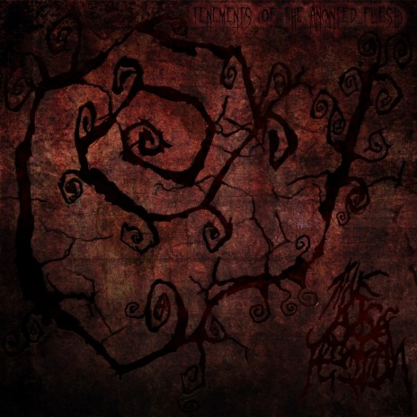Awakenings cover art