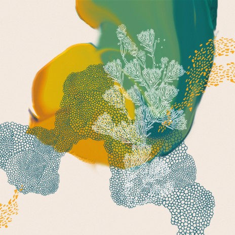 the more i try to trace you forthwith, the less i want to know where to find you cover art