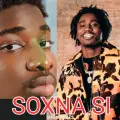 Wally B. seck X VJ (SOXNA SI) instrument type afro beat
