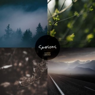 Narrow Skies