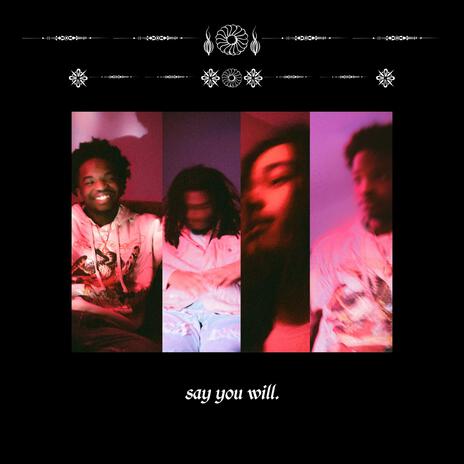 say you will ft. DWH cover art