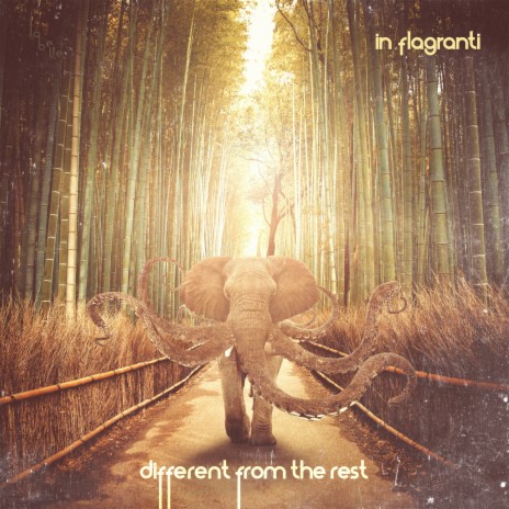 Different from the Rest (Moscoman's Voodoo Disco Habit Mix)