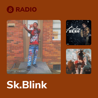 Sk.Blink Radio
