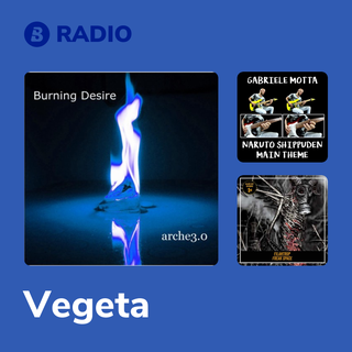 Vegeta Radio