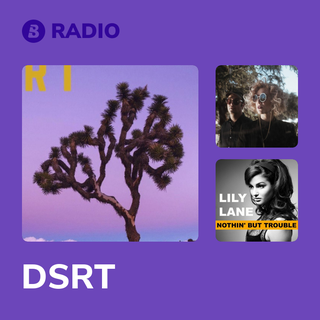DSRT Radio