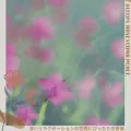 Music to Help with Aromatherapy