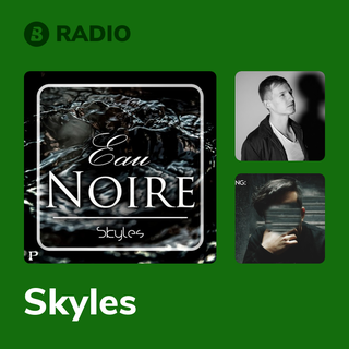 Skyles Radio