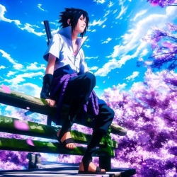 author avatar