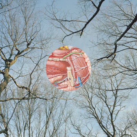 All The Lazy Boyfriends cover art