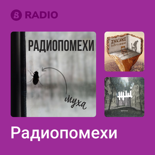 Радиопомехи Radio