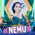 Nemu
