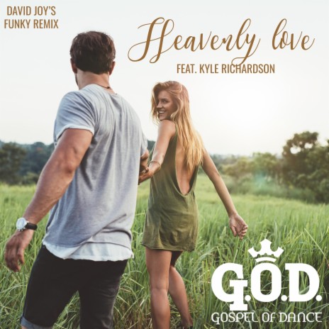 Heavenly Love (David Joy's Funky Remix) ft. Kyle Richardson cover art