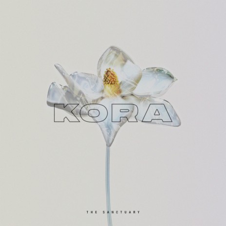 kora cover art