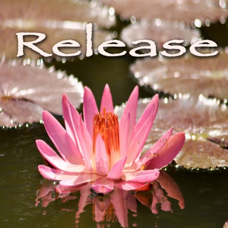 Chakra Crystals cover art