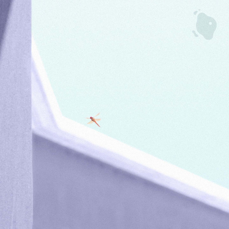 Libélula cover art