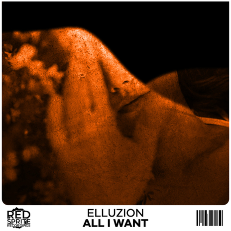 All I Want (Extended Mix)