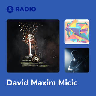 David Maxim Micic Radio
