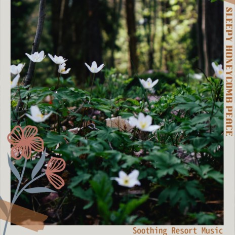 Aromatic to Help the Day cover art