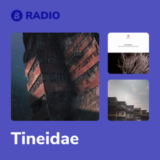 Tineidae Radio