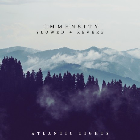 Immensity (Slowed + Reverb) cover art
