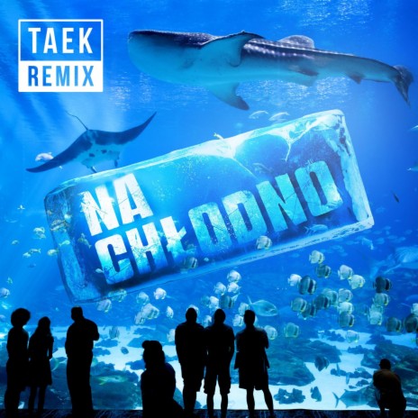 Na chłodno ft. Dj Taek