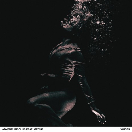 Voices ft. Medyk cover art