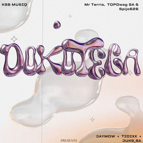 Dokotela ft. Mr Terris, Spijo626, TOPDwag SA, JayMow & Tidixx cover art