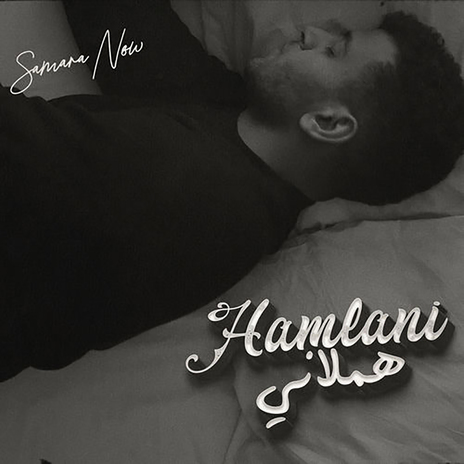 Hamlany cover art