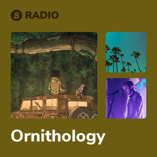 Ornithology Radio