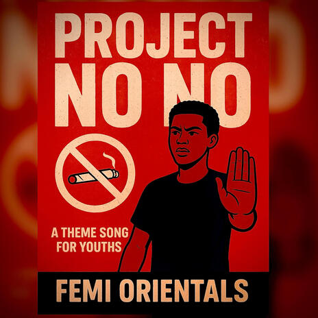 Project no no cover art