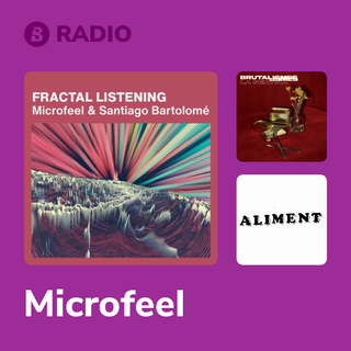 Microfeel Radio