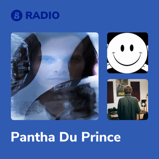Pantha Du Prince Radio