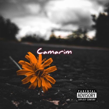 Camarim cover art