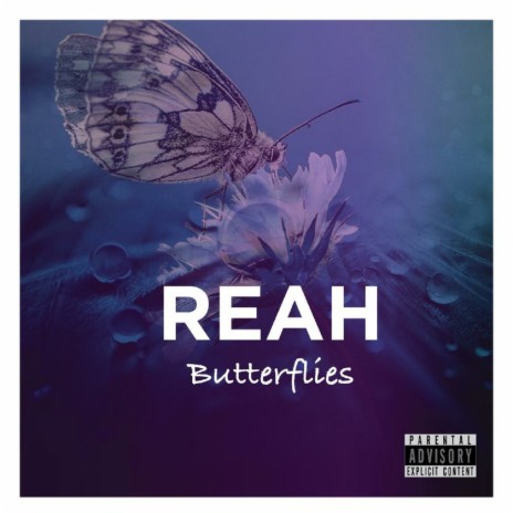Butterflies cover art