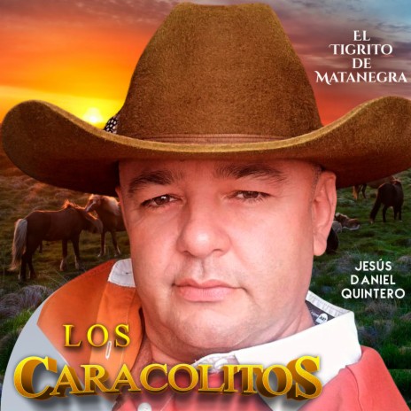 Caballo Gato Amarillo